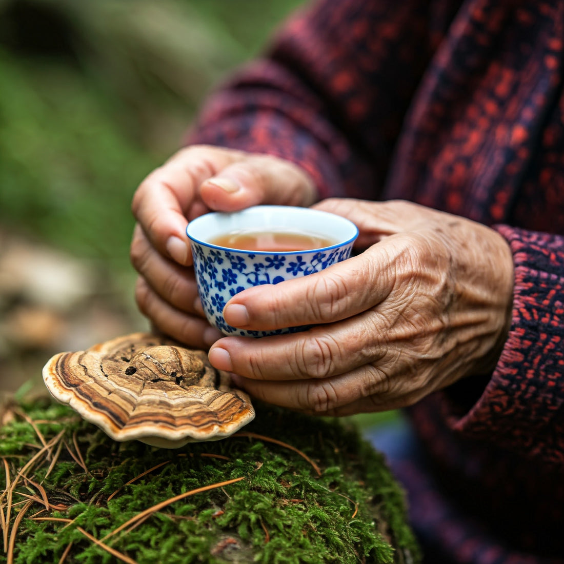 A =n elderly person holding a mug of turkey tail mushroom tea with a mushroom on a tree stump