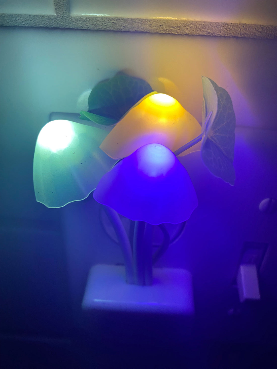 A Mushroom Night Light That Just Makes Life Easier